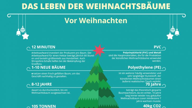 hafen im alten phÃ¶nizien Baum Co2 Pro Jahr