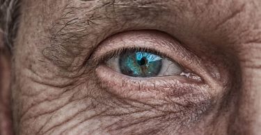 Gedicht Seele hat es eilig