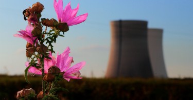 Greenwashing Atomkraftwerk Natur misstilli Flickr