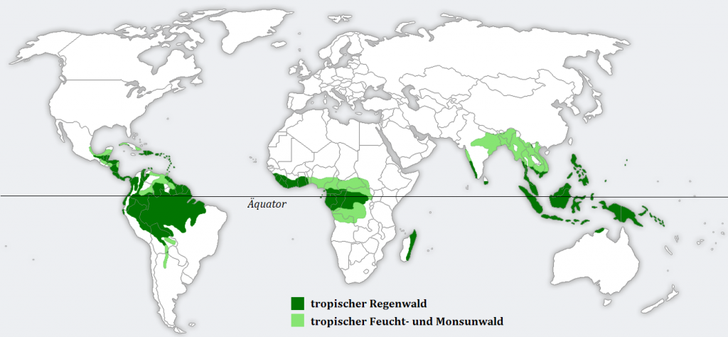 Weltkarte Tropischer Regenwald Verbreitung nachhaltig sein
