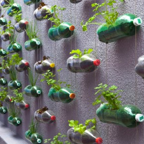 Wand Garten Plastikflaschen upcycling