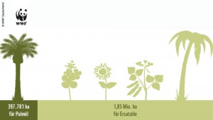 WWF Studie „Auf der Ölspur – Berechnungen zu einer palmölfreieren Welt“ ISBN 978-3-946211-05-1