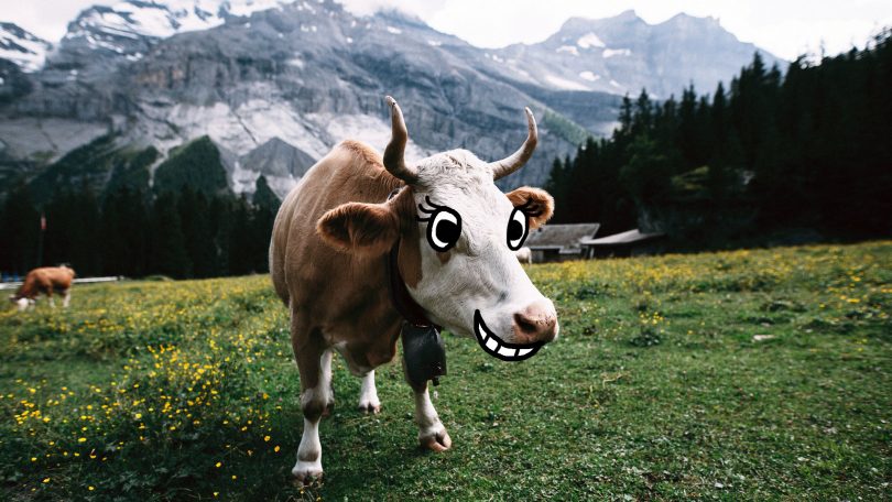 Nachhaltigkeit Kuh Kommentar nachhaltiger Lebensstil