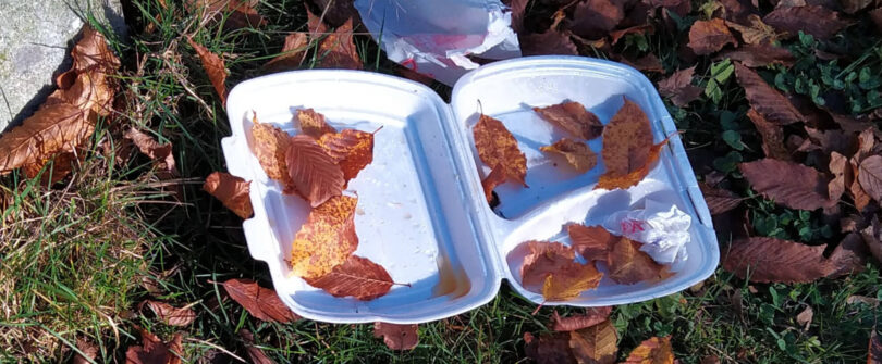 Mehrweg Einweg Verpackung Nachhaltig Sein