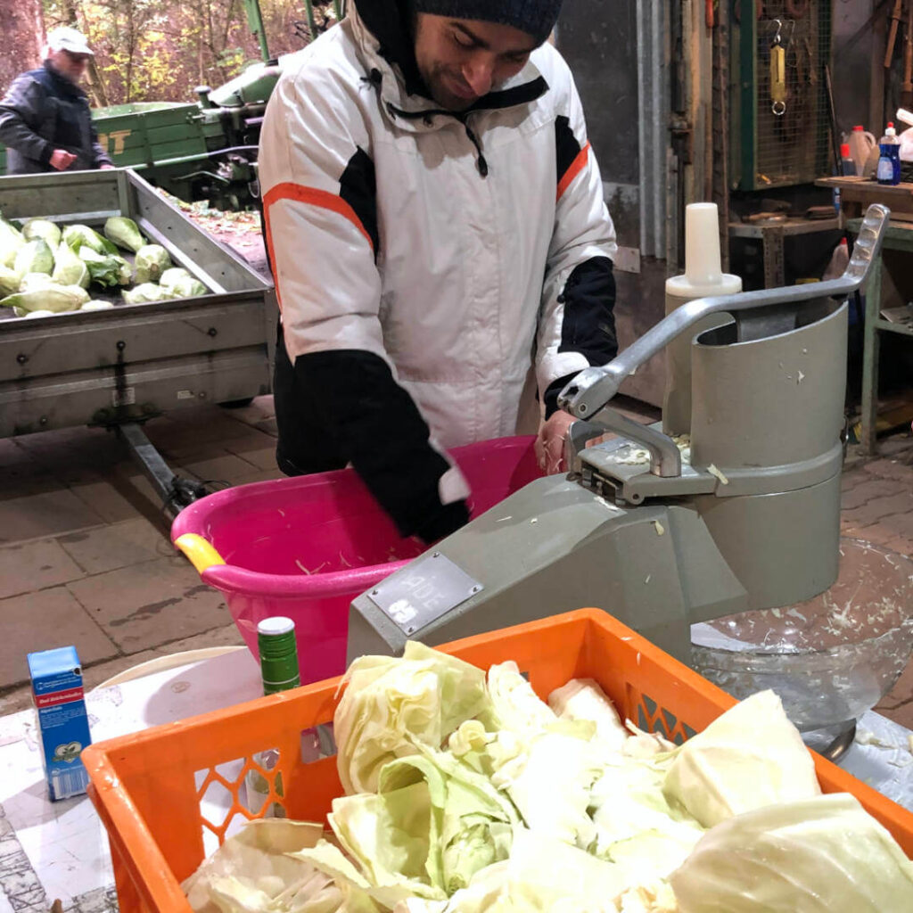 Solawi Sauerkraut machen Nachhaltigkeit