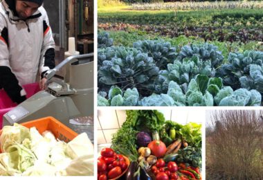 Solawi Solidarische Landwirtschaft Erklärung Erfahrungsbericht